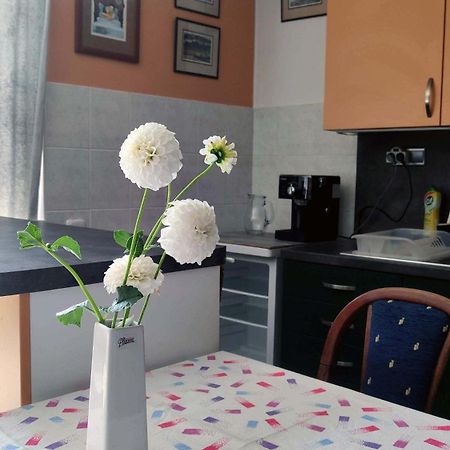 Apartman Ulehla Zlín Extérieur photo