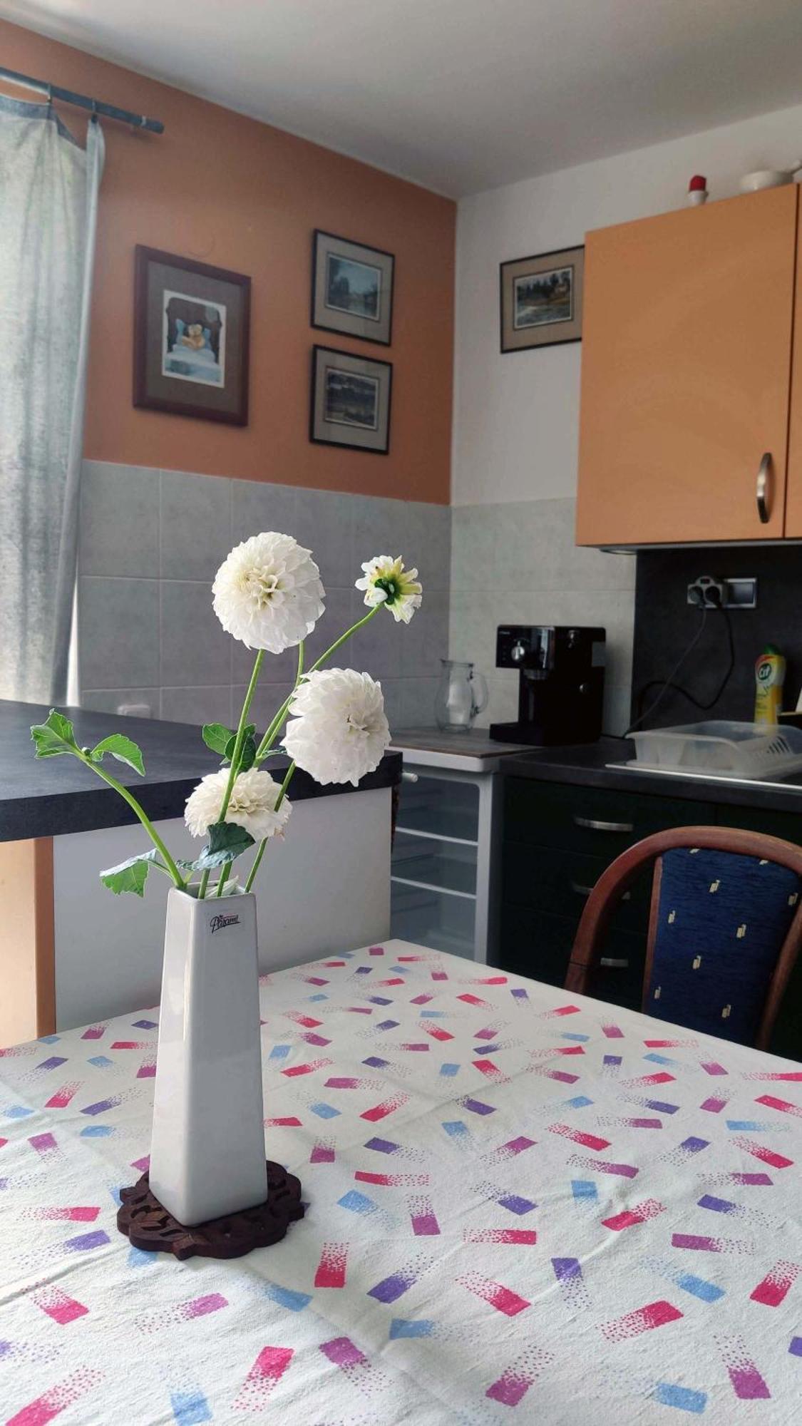 Apartman Ulehla Zlín Extérieur photo